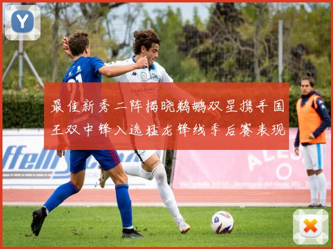 最佳新秀二阵揭晓鹈鹕双星携手国王双中锋入选猛龙锋线季后赛表现抢眼