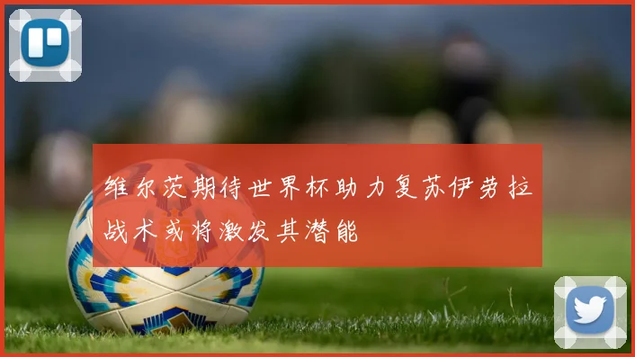 维尔茨期待世界杯助力复苏伊劳拉战术或将激发其潜能
